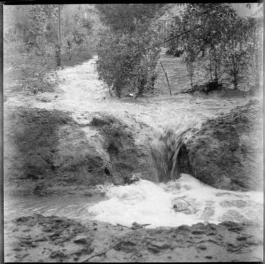 Stream of water flowing through Chinnery's garden, Malaguna Road, Rabaul, New Guinea, 1937 / Sarah Chinnery