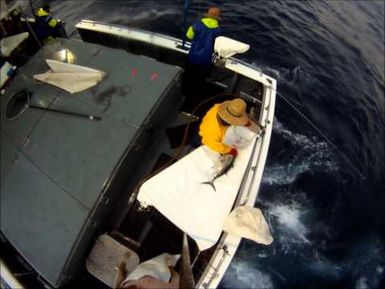 Tuna tagging, from Tonga to Wallis & Futuna