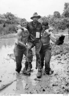 NEAR LAE, NEW GUINEA, 1943-09-22. SERGEANT J.C. HOLLAND AND LANCE CORPORAL J. FULTON CARRY A WOUNDED MATE FROM THE MUD AND SLUSH TO AN ADVANCED DRESSING STATION NEAR LAE