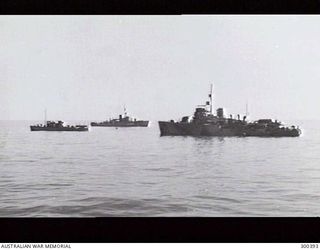 THE CORVETTES HMAS BENALLA (J323) (RIGHT) AND CASTLEMAINE (J244)(CENTRE BACKGROUND) AND THE AUXILIARY PATROL VESSEL HMAS SLEUTH (EX HMAS VIGILANT). THE BENALLA HAS BEEN CAMOUFLAGED IN WHAT ARE ..