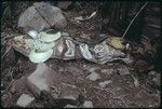 Pig festival, singsing, Tsembaga: kina shells, beads and other exchange valuables displayed on a mat