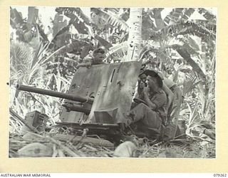 KALAI PLANTATION, NEW BRITAIN. 1945-02-17. A 2 POUNDER ANTI- TANK GUN OF HEADQUARTERS COMPANY, 19TH INFANTRY BATTALION READY FOR ACTION AT THE BEACHHEAD. IDENTIFIED PERSONNEL IS:- NX136180 ..