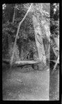 Sculptures of ancestral spirits, with sacrificial altar for pigs beside