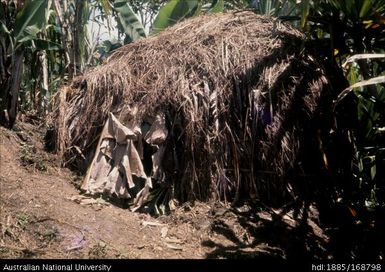 Women's birth house