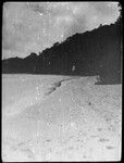 Shoreline
