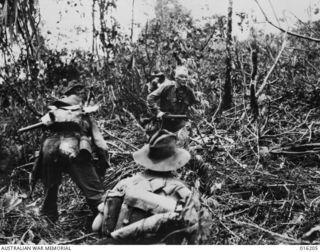 Australian troops moved in behind Matilda tanks for a dawn attack on the Japanese held village of Sattelberg. Australian troops advance through the jungle in the wake of the tanks.the wounded man ..
