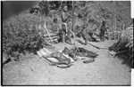 Distribution of wild pig meat: people inside low fence