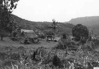 house, forest, landscape, trees, building, mountains, palm, huts, photography,