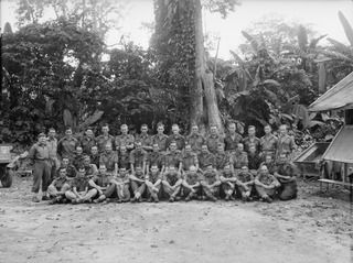 TOROKINA, BOUGAINVILLE. 1945-11-23. MEMBERS OF 3 SURVEY BATTERY. Left to right back row standing: NX110090 Gunner (Gnr) F J Coll; NX88138 Gnr V J Miskelly; VX83450 Gnr J R Vial; VX66674 Lance ..