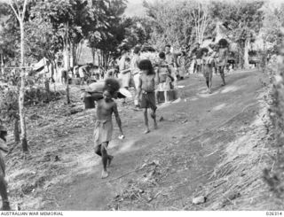 PAPUA, NEW GUINEA. 1942-08. ONE OF THE MAJOR PROBLEMS OF THE CAMPAIGN IN NEW GUINEA IS THE TRANSPORT OF SUPPLIES AND NATIVE CARRIERS HAVE TO BE EMPLOYED TO TRAVERSE THE NARROW PATHS THROUGH THE ..