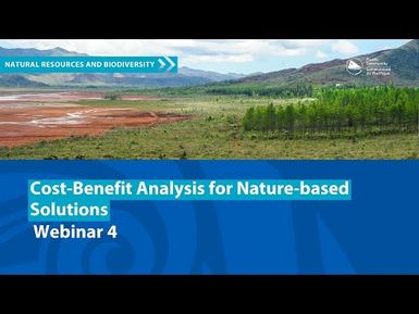 Webinar 4 Cost-Benefit Analysis for Nature-based Solutions