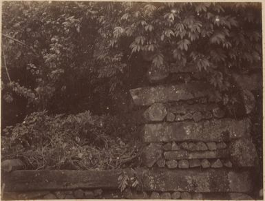 Ruins at Pohnpei, 1886