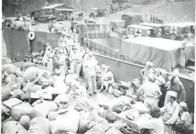 Ninth General Hospital. World War II. Hollandria, New Guinea.
