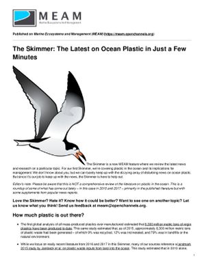 The Skimmer: The latest on ocean plastic in just a few minutes