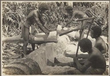 Process of Native sago making [Papua New Guinea, 3]