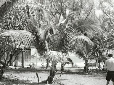 Pacific Islands - Cook Islands - Rarotonga - Housing