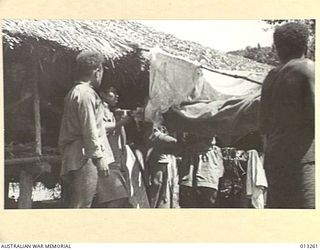 OWEN STANLEY RANGES, NEW GUINEA. C. 1942-09-01. A WOUNDED AUSTRALIAN BEING CARRIED ON A STRETCHER INTO A BASE HOSPITAL OUT OF A FORWARD AREA BY NATIVE BEARERS (FUZZY WUZZY ANGELS)