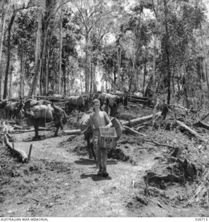 PAPUA. 1942-09. MULES, HORSES AND THEIR ATTENDANTS READY TO SET OFF DOWN THE MULE TRACK ON THE FIRST STAGE OF THE JOURNEY TO THE SMALL VILLAGE OF UBERI, ON THE KOKODA TRAIL