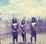 Highland girls, Chuave area, [Papua New Guinea], 1956