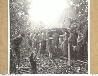 FINSCHHAFEN AREA, NEW GUINEA. 1943-11-11. PERSONNEL OF THE 4TH AUSTRALIAN FIELD BAKERY ERECTING A MARQUEETO STORE THEIR FLOUR