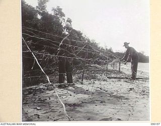 GOODENOUGH ISLAND, NEW GUINEA. 1942-10. IMITATION BARBED WIRE ENTANGLEMENTS MADE FROM JUNGLE CREEPERS. THE ISLAND WAS SEIZED BY A SMALL FORCE OF AUSTRALIANS AND BY BLUFF AND DECEPTION THEY LED THE ..