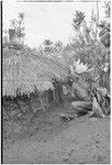 Pig festival, sacred stone house: decorated men enter house where fertility stones have been hung