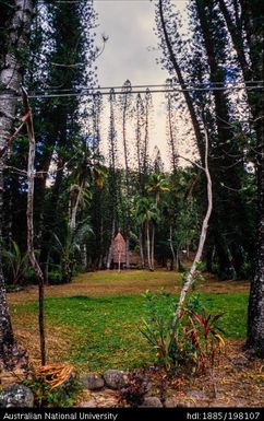 New Caledonia - Grande Case de Petit Cauli