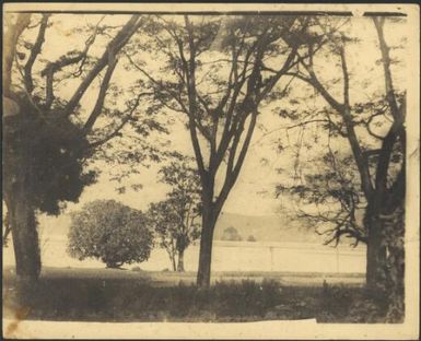 View from Chinnery's front yard, Malaguna Road, Rabaul, New Guinea, ca.1935 / Sarah Chinnery