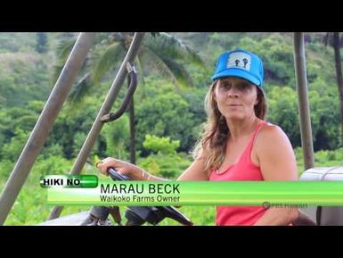 PBS Hawai‘i - HIKI NŌ Episode #821 | Kapaa Middle - Kaua‘i | Taro Farmer