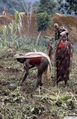 ["fotografi, photograph"]