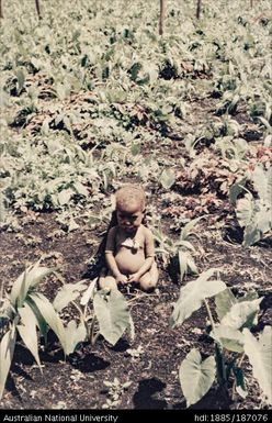 Infant sitting among plants