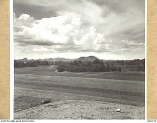 12 MILE, LALOKI RIVER, NEW GUINEA. 1943-11-15. A SECTION OF NO. 2 GARDEN OF THE 3RD AUSTRALIAN FARM COMPANY, AUSTRALIAN ARMY SERVICE CORPS