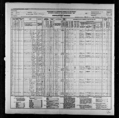 1940 Census Population Schedules - Hawaii - Kauai County - ED 4-10