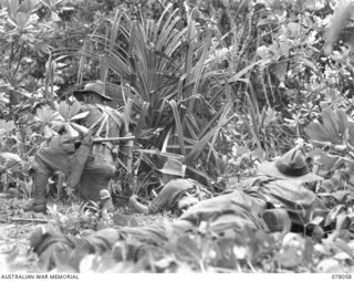 DANMAP RIVER AREA, NEW GUINEA. 1945-01-02. TROOPS OF A COMPANY, 2/11TH INFANTRY BATTALION MOVING THROUGH THE JUNGLE DURING THE ATTACK ON JAPANESE POSITIONS ON A HILL FEATURE BEYOND MATAPAU