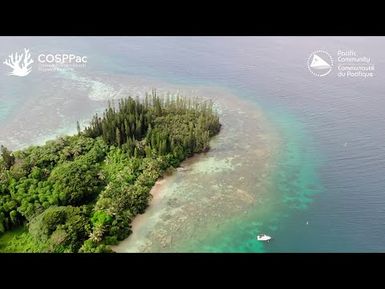 New Pacific Ocean Portal