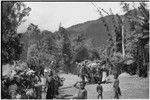 Pig festival, singsing, Kwiop: decorated men with feather headdresses in columns on dance grounds, children in foreground