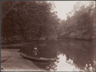 A man in a canoe on the Bulalaha River, Malaita, Solomon Islands, 1906 / J.W. Beattie