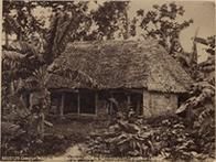 Samoan hut