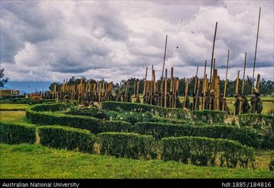 Mt Hagen - selling planks to government