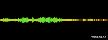 Scene composed of drums, incantations and rhythmic screams - 2.