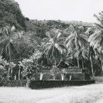 The 'marae' of Arahurahu (restored), in Tahiti. Overview