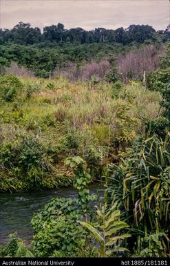 New Guinea - Nomad River