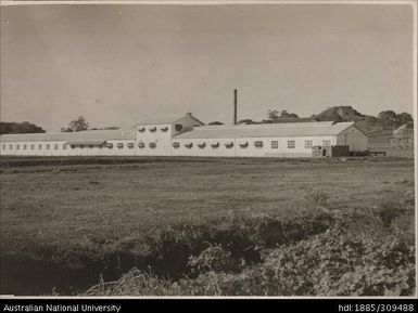 Pineapple Cannery from Entrance Road