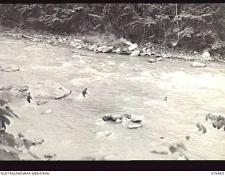 BUSU RIVER, NEW GUINEA. 1944-10-07. PERSONNEL OF THE 2/8TH COMMANDO SQUADRON ADOPTING THE "BOUNCING" TECHNIQUE TO CROSS THE SWIFT FLOWING RIVER DURING AN ARMY-AIR CO-OPERATION EXERCISE WITH NO. 4 ..