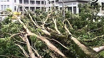 Category 4 cyclone hits Fiji