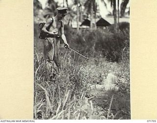 LAE, NEW GUINEA, 1944-03-25. NX79337 DRIVER W. J. DANIELS, 9TH MALARIAL CONTROL UNIT ATTACHED TO HEADQUARTERS LAE BASE SUB-AREA, USING A KNAPSACK SPRAY IN A SWAMPY AREA NEAR THE CAMP