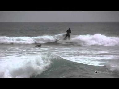 PBS Hawaii - HIKI NŌ Episode 304 | Mid-Pacific Institute | High School Surfing
