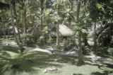 French Polynesia, thatched-roofed hut surrounded by palms