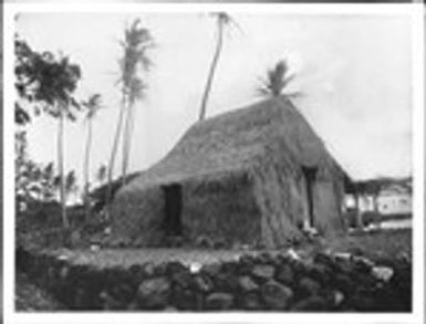 Fisherman's thatched hut, Hawaii