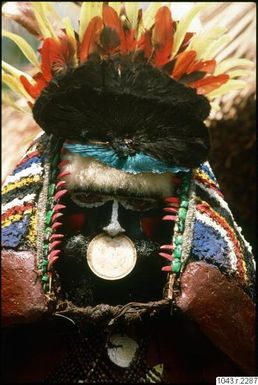 ["mask, papuan, fjäder, fotografi, photograph"]